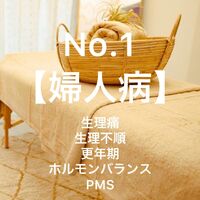 画像1447
