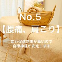 画像1451