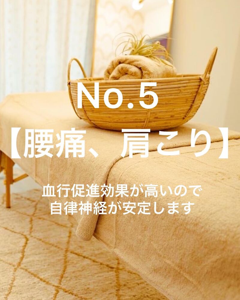 画像1451
