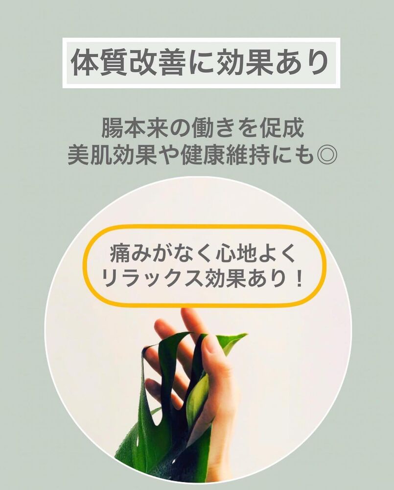 画像1476