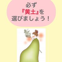 画像1494