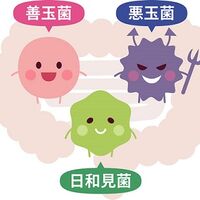 画像1690
