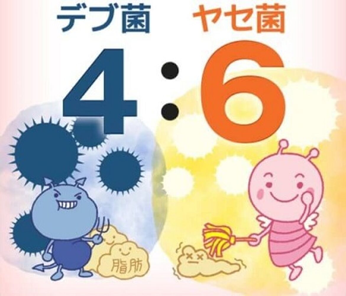 画像1705