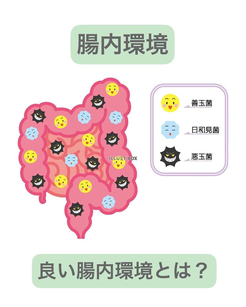 画像1708