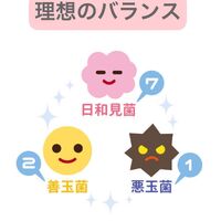 画像1709