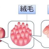 画像1730