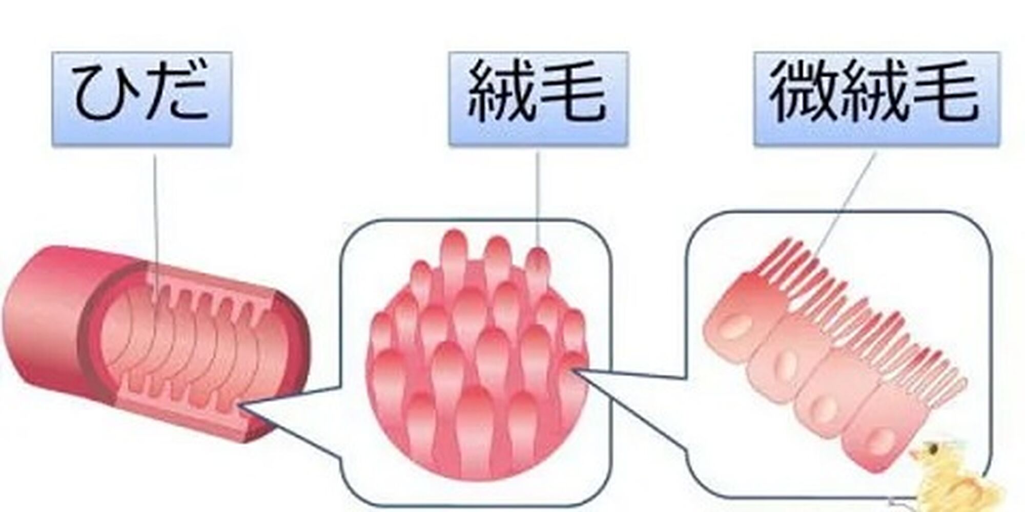 画像1730